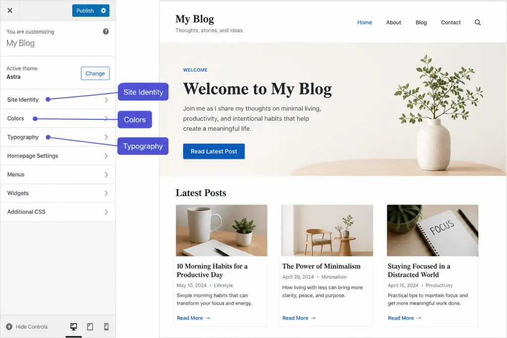 WordPress Theme Customizer panel showing live preview — customize WordPress theme without coding