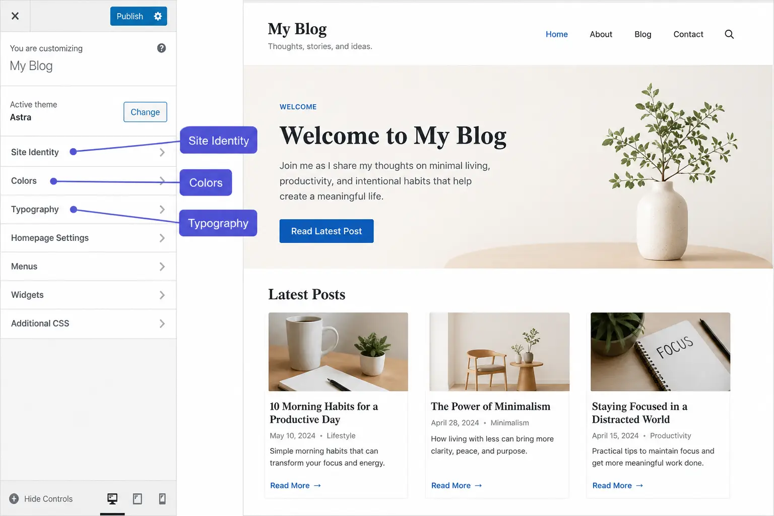 WordPress Theme Customizer panel showing live preview — customize WordPress theme without coding